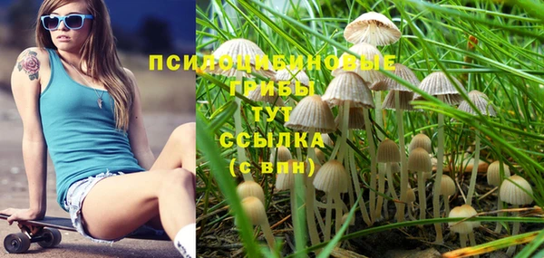 ешки Алексеевка