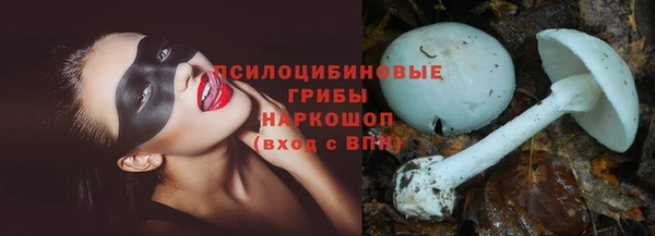 ешки Алексеевка