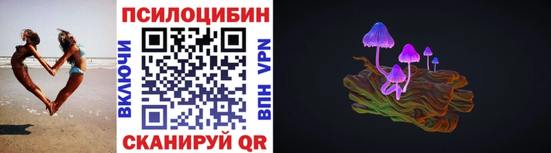 наркошоп  mega как зайти  Галлюциногенные грибы прущие грибы  Сосновка 